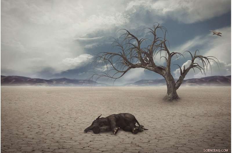 The Impact of Animal Extinctions on Human Well-Being: Mental, Cultural, and Material Consequences