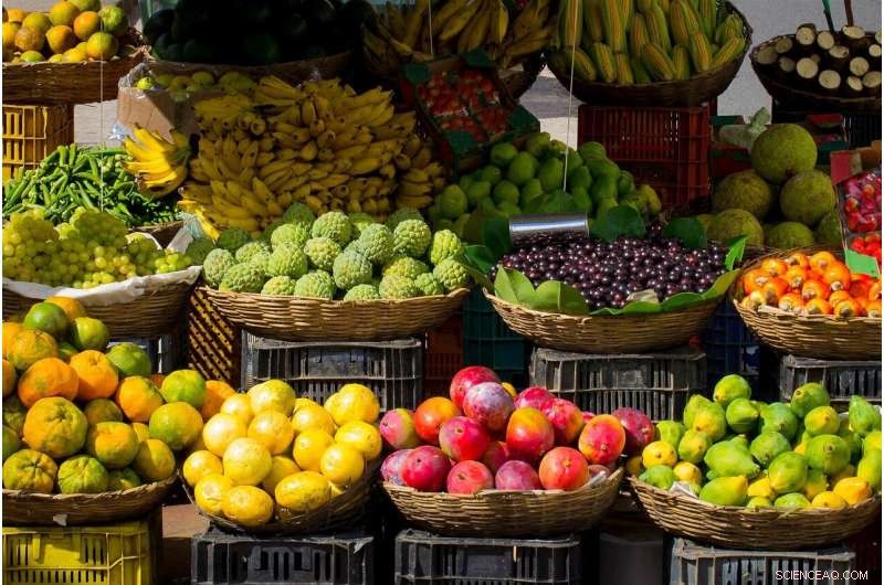 Evidence‑Based Toolkit Empowers Mobile Produce Markets for Sustainable Success