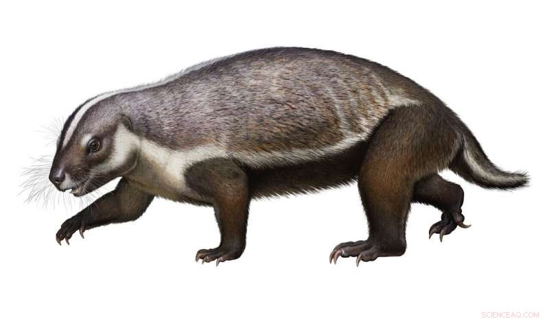 Island Evolution Unveiled: 66‑Million‑Year‑Old Adalatherium from Madagascar Revealed