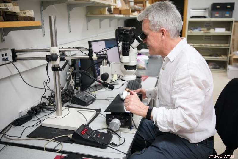 New Dating Techniques Correct Misplaced Timelines in North American Indigenous History