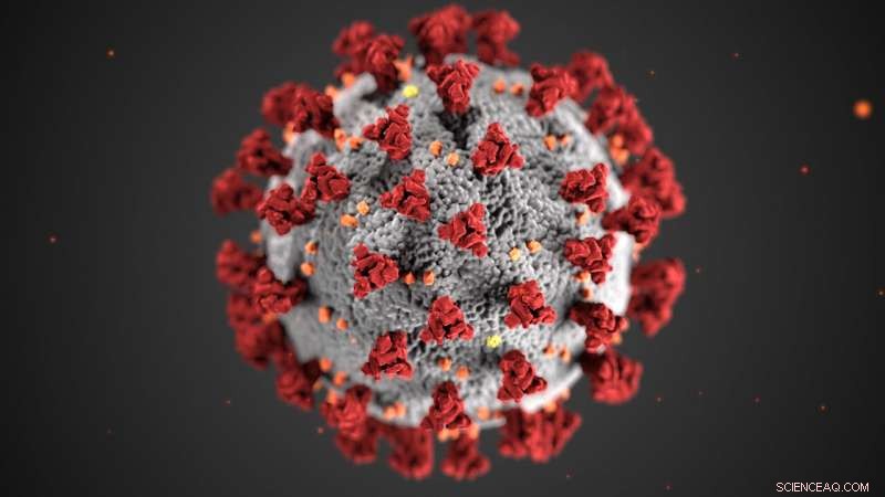 Revolutionary Model Provides Accurate COVID-19 Death Toll Estimates