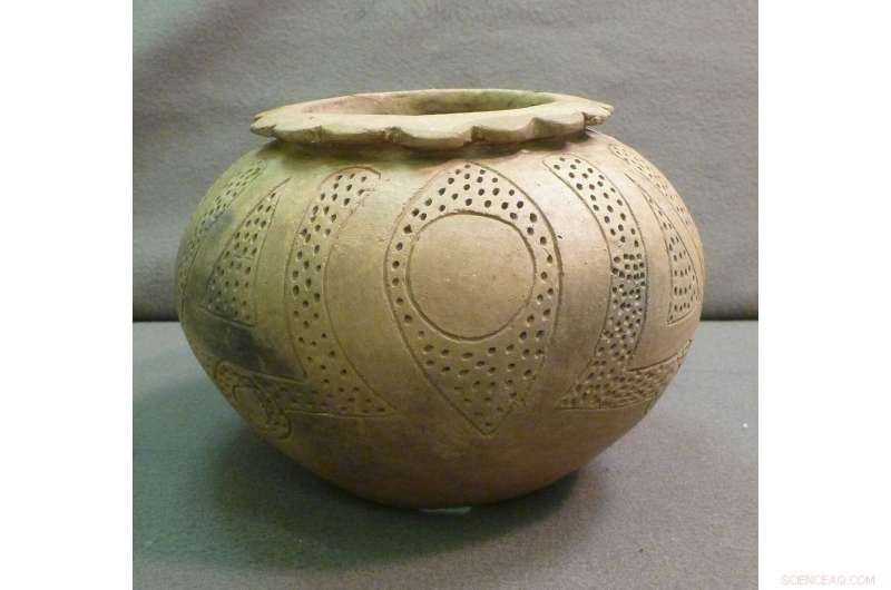 Ancient Gulf Coast Travelers Relied on Florida Oyster Feasts for Comfort During Hard Times