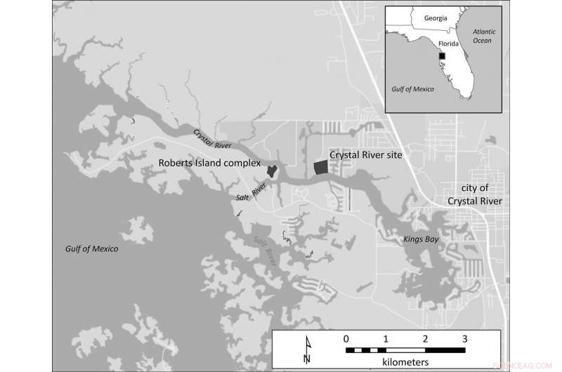 Ancient Gulf Coast Travelers Relied on Florida Oyster Feasts for Comfort During Hard Times