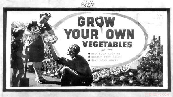 Learning from Food Supply Disruptions: 5 Strategies to Prevent Future Shortages