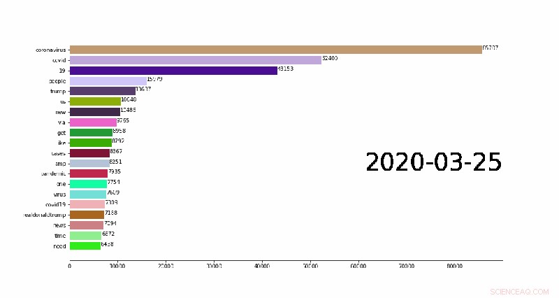 TACC COVID‑19 Twitter Dataset Empowers Social Science Insights into the Pandemic