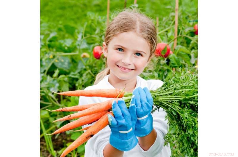 Unlocking Financial Gains Through Home Gardening: The Smart Path to Self‑Sufficiency