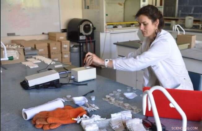 Ancient Archaeology Reveals How Societies Bounce Back From Pandemics