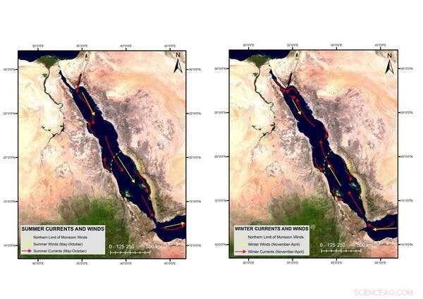From War Elephants to Electronics: How Ancient Trade Networks Shaped Modern Globalization