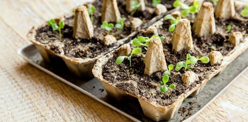 Envisioning a Sustainable Circular Economy: A Blueprint for the Future