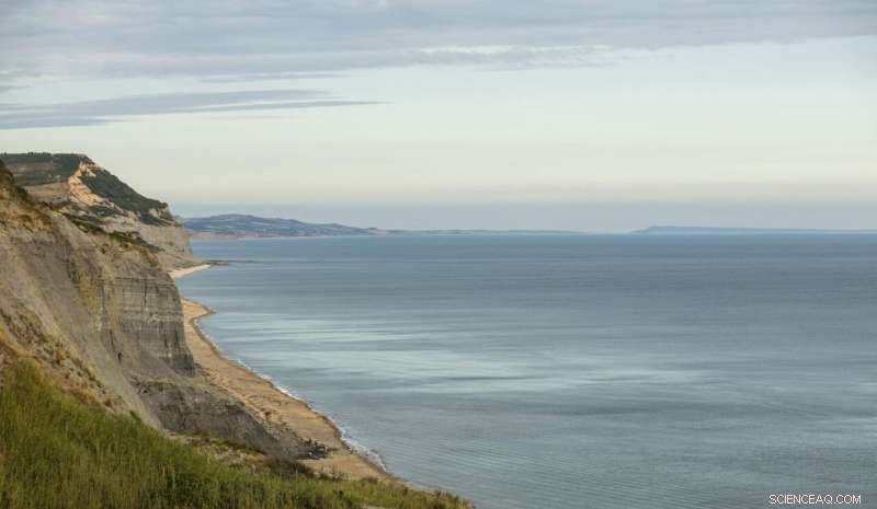 Ancient Squid Attack Unearthed: 200‑Million‑Year‑Old Fossil Reveals First Predatory Behavior