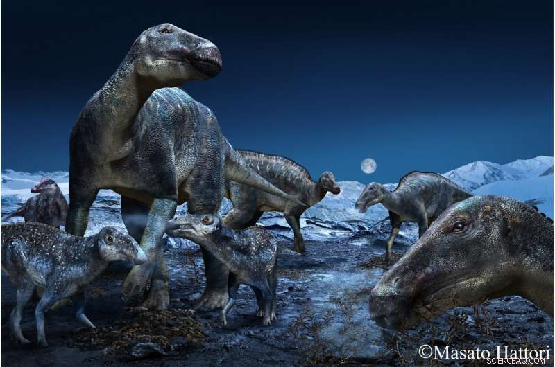 Arctic Edmontosaurus Reexamined: New Insights into the Cretaceous  Caribou  Dinosaur