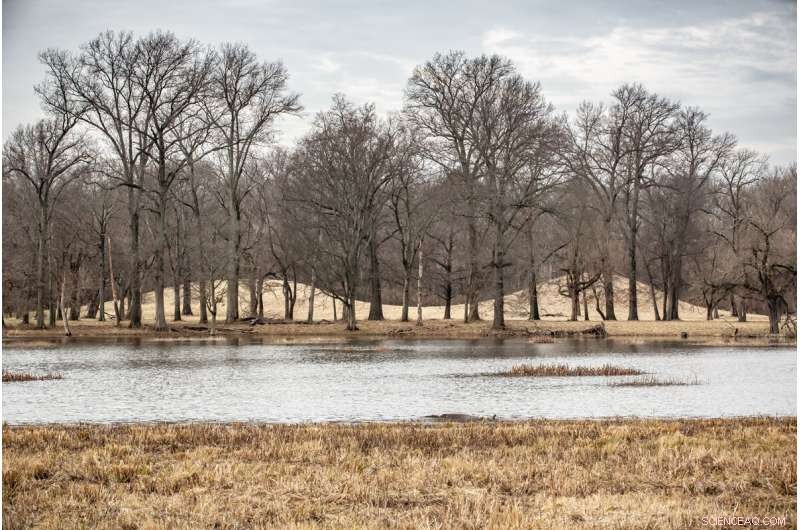 Archaeological Insights Into Ancient Milky Way Beliefs