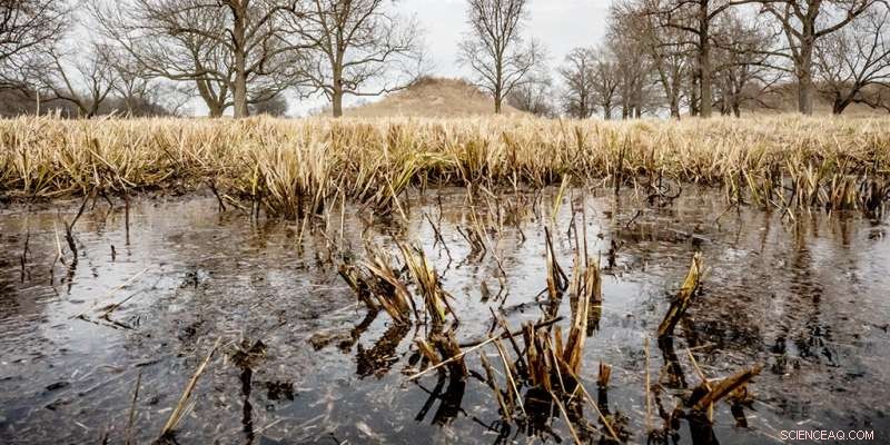 Archaeological Insights Into Ancient Milky Way Beliefs