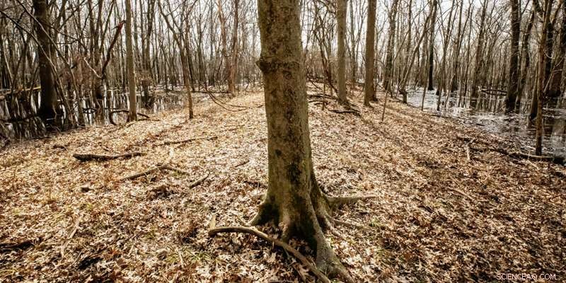 Archaeological Insights Into Ancient Milky Way Beliefs