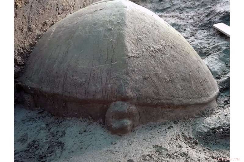 Ancient Stone Turtle Statue Discovered at Angkor Reservoir Site – Archaeological Update
