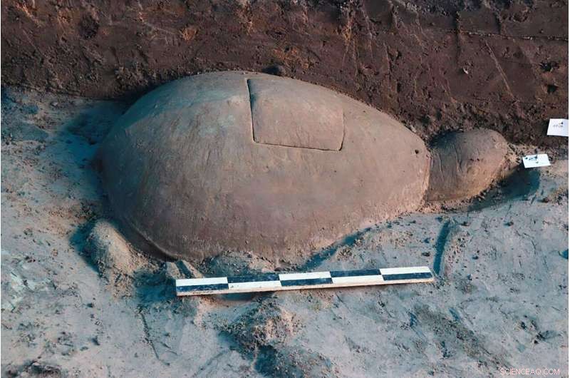 Ancient Stone Turtle Statue Discovered at Angkor Reservoir Site – Archaeological Update