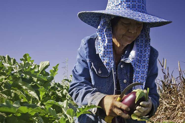 California Poll Shows Strong Public Demand for Health & Economic Protections for Farm Workers Amid COVID-19
