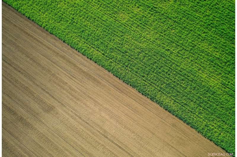 Strengthening Rural Resilience Through a Green Recovery