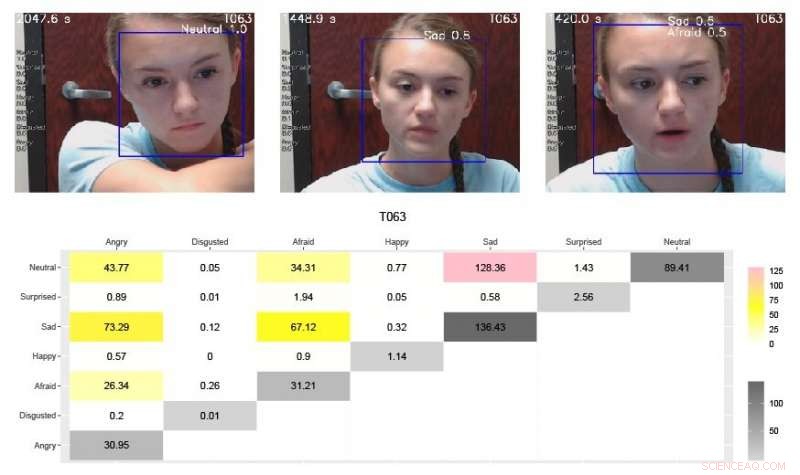 The Impact of Workplace Multitasking on Employee Emotions