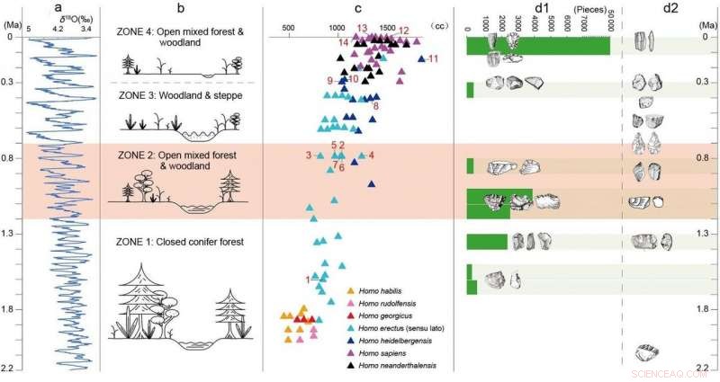 One-Million-Year-Old Chinese Innovations Show Early Humans Adapted to Climate Change