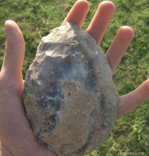 Researchers Map Human Self‑Control Evolution from 1.8 Million Years Ago to 500,000 Years Ago