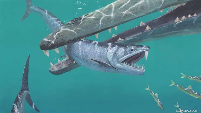 Fossil Discovery Reveals Saber-Toothed Anchovy-like Fish with Massive Fangs