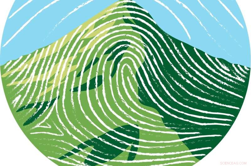 Pofatu: The Premier Open‑Access Database for Geochemical Fingerprints of Artifacts