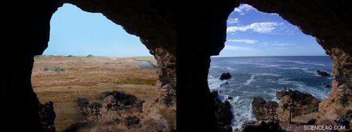 Exploring a Lost World: Extinct Ecosystems of the Palaeo-Agulhas Plain