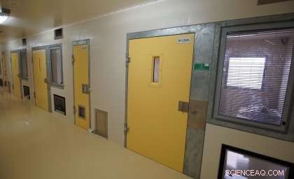 End Solitary Confinement in Queensland Prisons: Protecting Prisoners’ Health