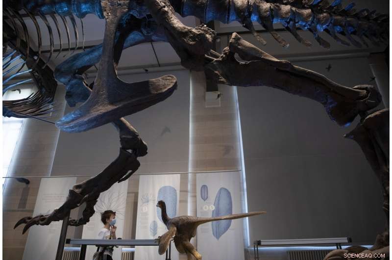 UN Agency Warns Pandemic Could Endanger One in Eight Museums Worldwide