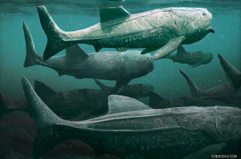 Titanichthys, a 380‑Myr‑Old Giant Fish, Fed Like Modern Basking Sharks