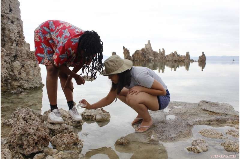 New Study Shows Field Courses Boost Student Success and Advance STEM Diversity