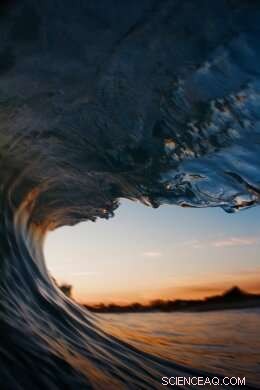 Discover 5 Stunning Mathematical Phenomena That Reveal Nature s Secrets