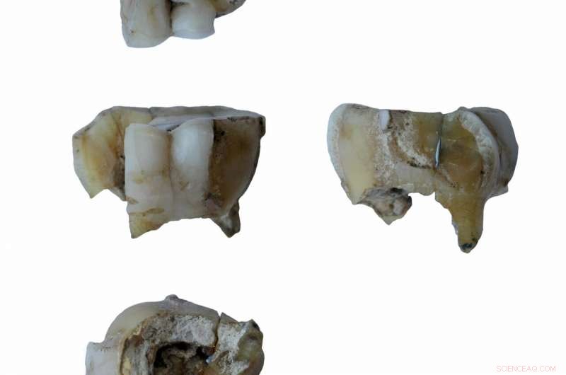 Siberian Discovery: Earliest Evidence of Native American Connection Near Lake Baikal