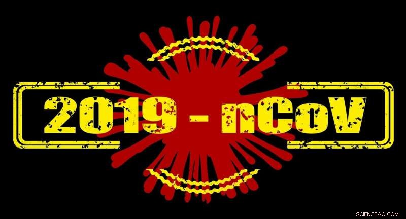 Coronavirus Pandemic Amplifies Terrorism Risks in Developing Nations