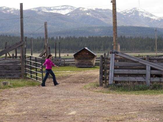 Study Reveals Why Young Adults Choose Rural Montana