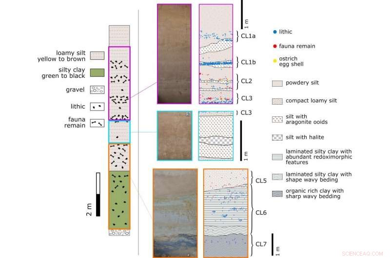 Upper Paleolithic Technology Arrives in North China by 41,000 Years Ago