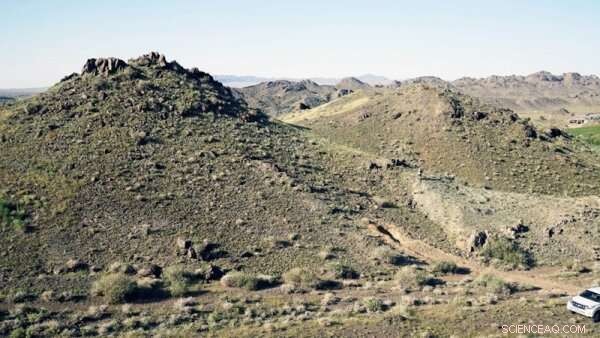 Scientists Pinpoint Age of Ancient Forest in West Junggar, China