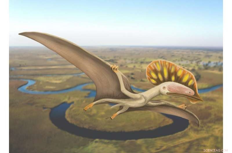 UK Discovers First Pterosaur Fossil, Expanding Paleontological Horizons