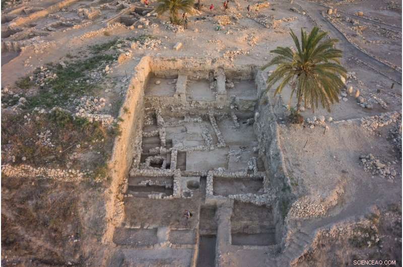 Revealing the Canaanites: Insights from 73 Ancient Genomes