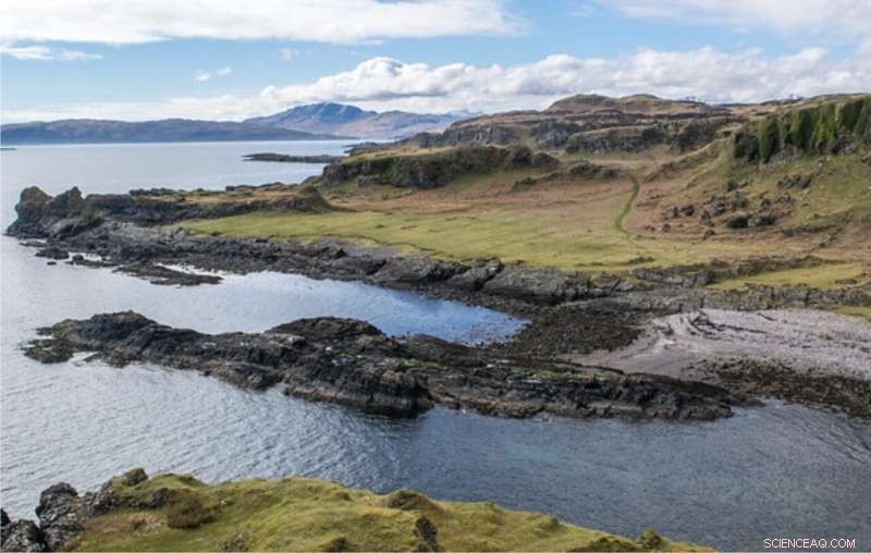 Scotland’s 425‑Million‑Year‑Old Fossil Sets Record as Earth’s Oldest Bug