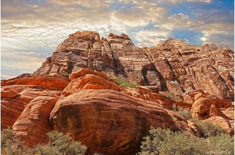 Nevada Excavation Reveals 246-Million-Year-Old Pregnant Ichthyosaur Fossil