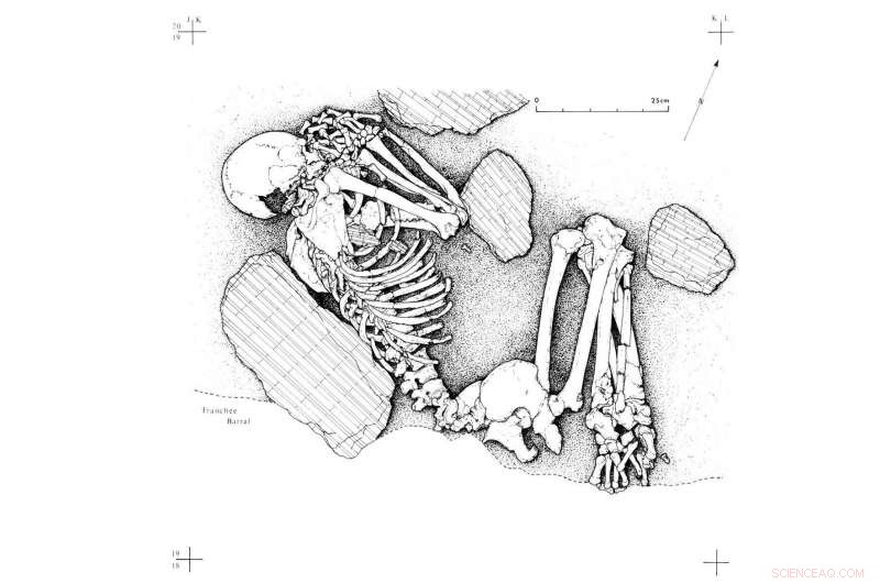 Neolithic Migration Meets Hunter‑Gatherers: Unveiling Interactions Across Western Europe