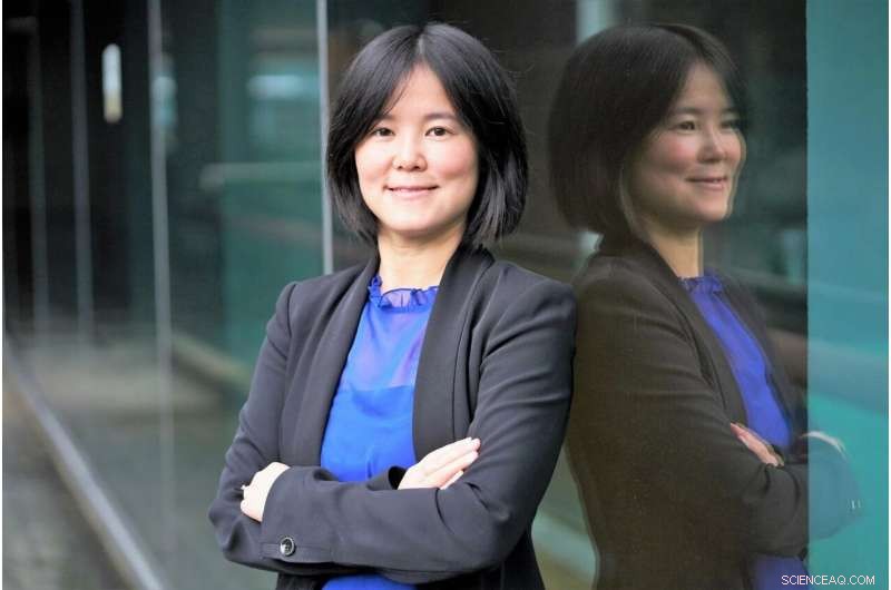 Evaluating the Impact of Anti-Fake News Regulation on Capital Market Quality