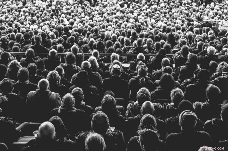 The Critical Role of Crowd Noise in Sports Success