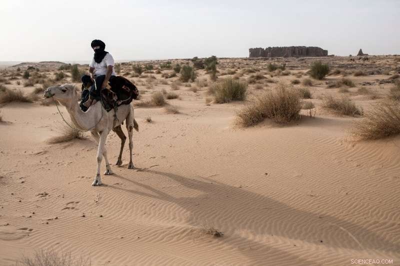 Journey with One of the Sahara’s Last European Explorers