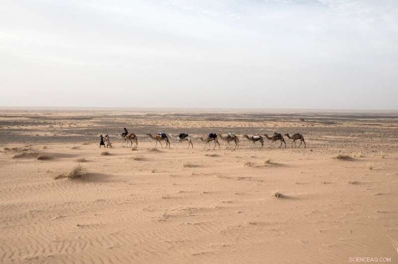 Journey with One of the Sahara’s Last European Explorers