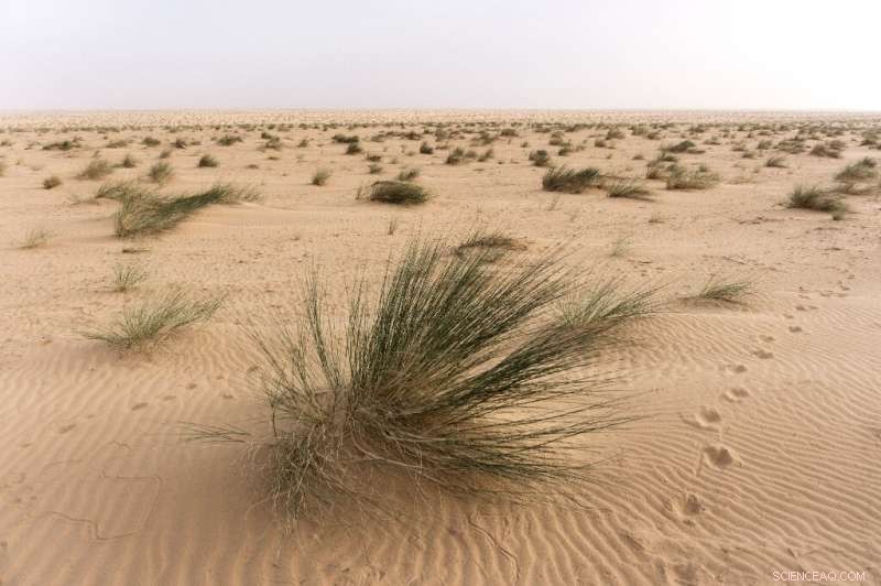 Journey with One of the Sahara’s Last European Explorers