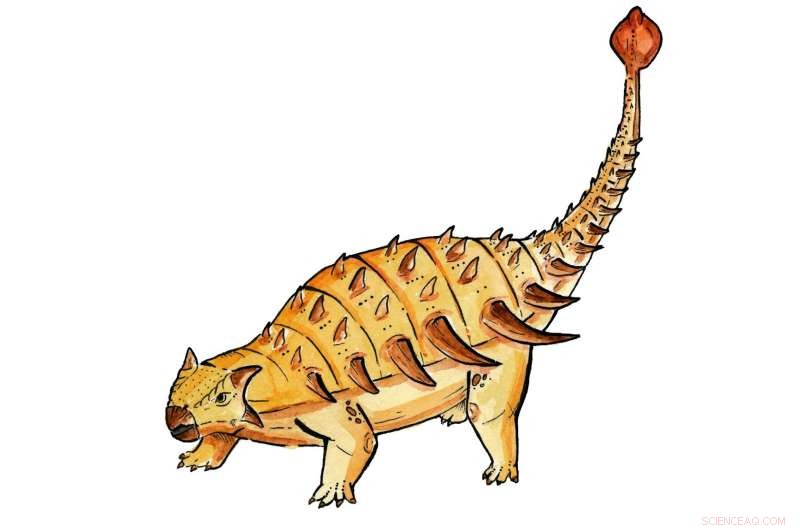 Scientists Produce First Detailed 3‑D Virtual Model of Ankylosaur Brain and Blood Vessels