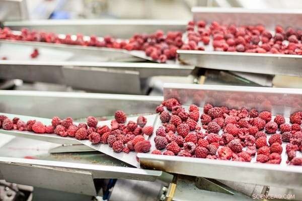 The Unsung Heroes: Why Food Manufacturers Deserve Our Appreciation